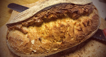 Pane con mozzarella di Bufala Campana DOP