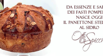 Nasce il panettone "Otto Spicchi"