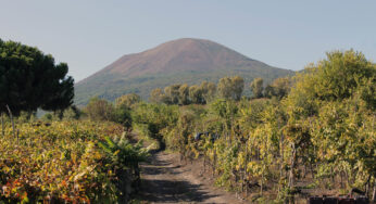 Vesuvio nel bicchiere