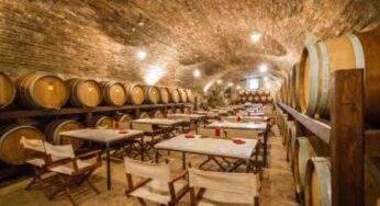 Cantine Aperte a Natale, degustazioni di vino per tutto dicembre