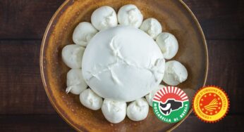 Mozzarella a colazione: la sfida del Consorzio Mozzarella di Bufala Campana al TuttoFood