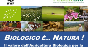 BIOLOGICO È… NATURA! Con le oasi WWF un ricco calendario dedicato all’agricoltura biologica