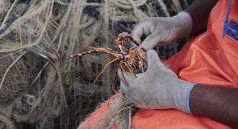 La pesca tradizionale del Golfo di Selinunte è Presidio Slow Food