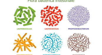 Come ripristinare la flora batterica con i prebiotici