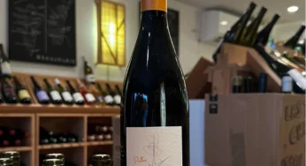 Lo stappo: Pollux Domaine de Bellivière