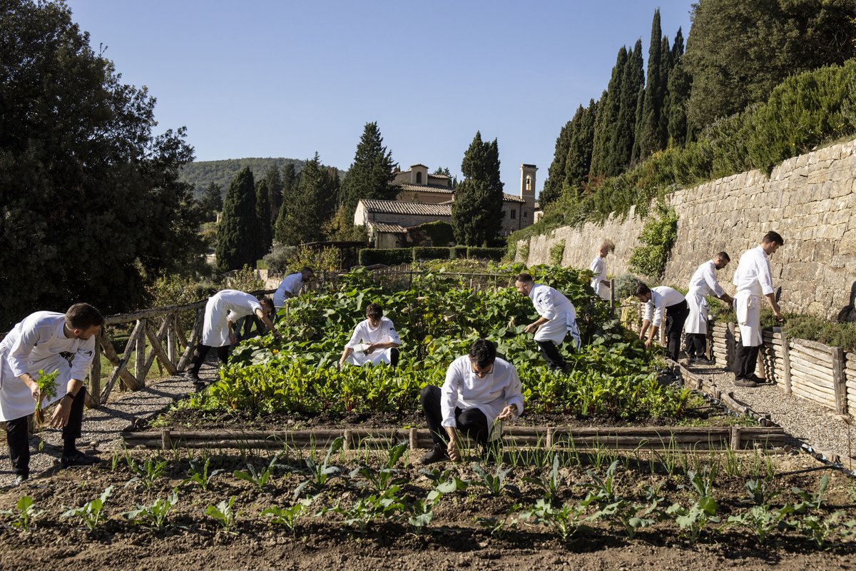 Un'esperienza gastronomica unica nel cuore della Val d'Orcia