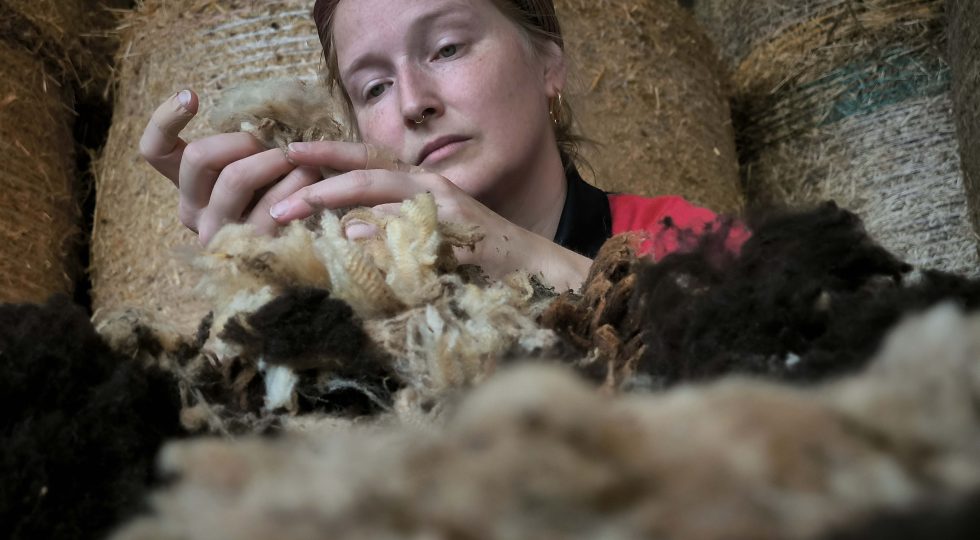 Il progetto di Benedetta per rilanciare la filiera della lana Made in Italy