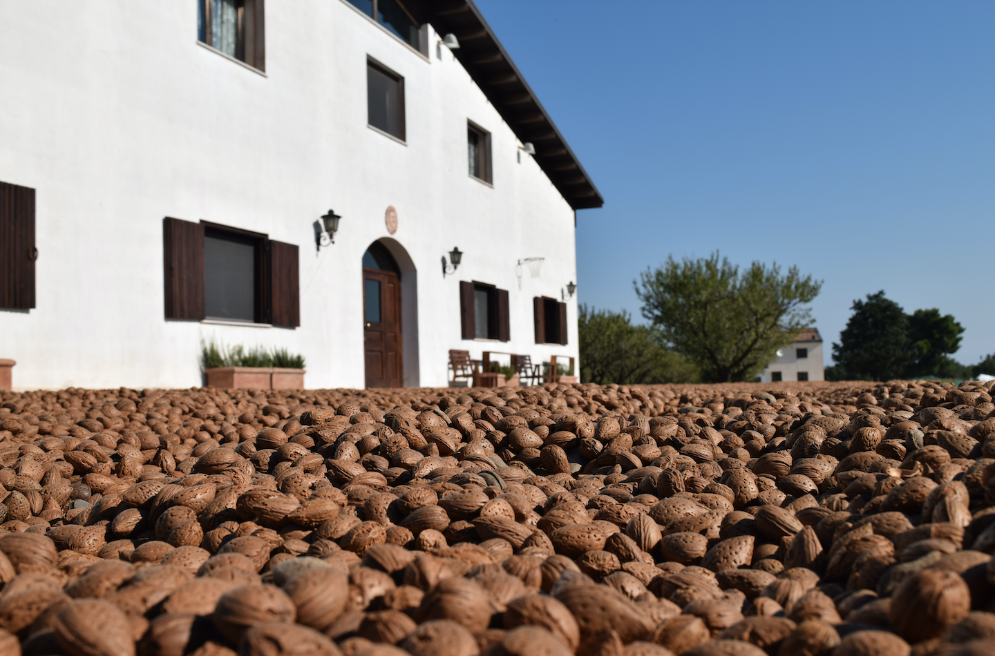 Fattoria della Mandorla a Rimini Wellness