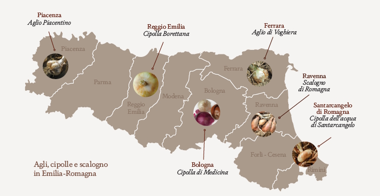Agli, Cipolle e Scalogno dell’Emilia Romagna raccontati in 60 schede