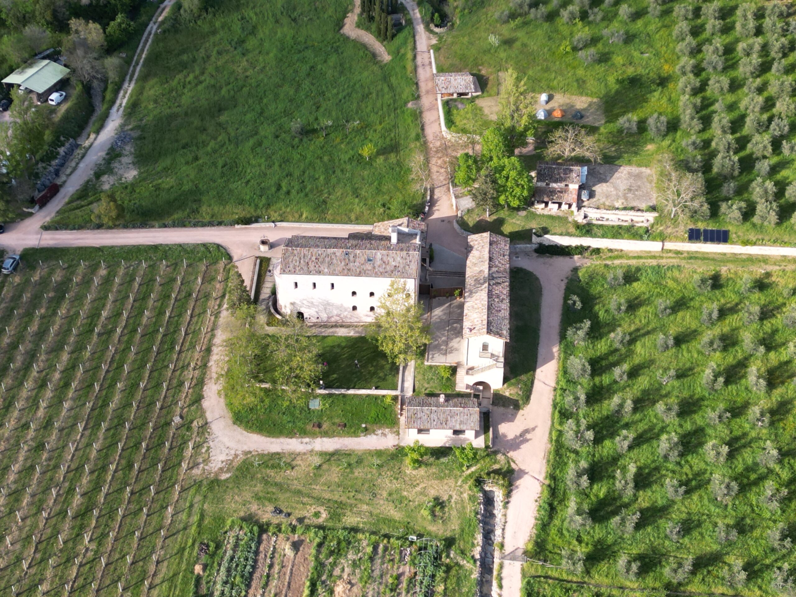 I monaci di San Masseo e i loro vini