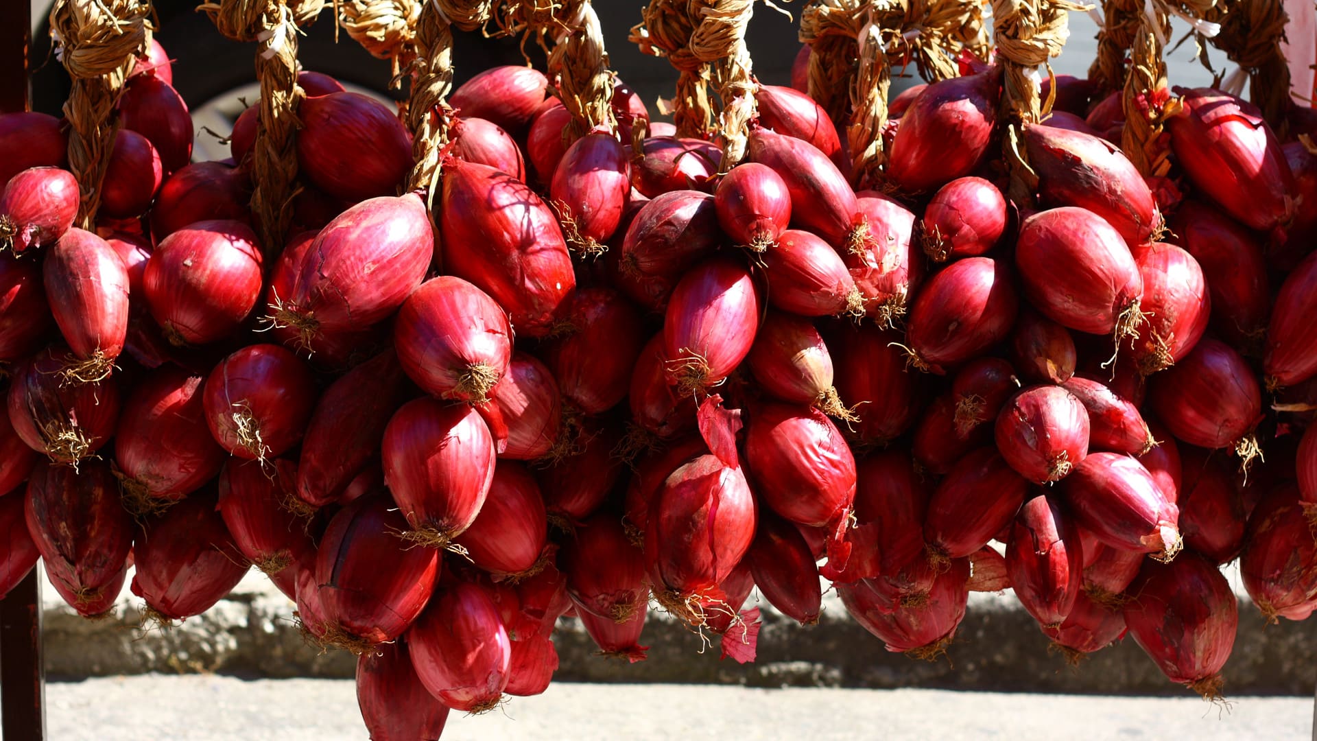 La cipolla rossa di Tropea IGP