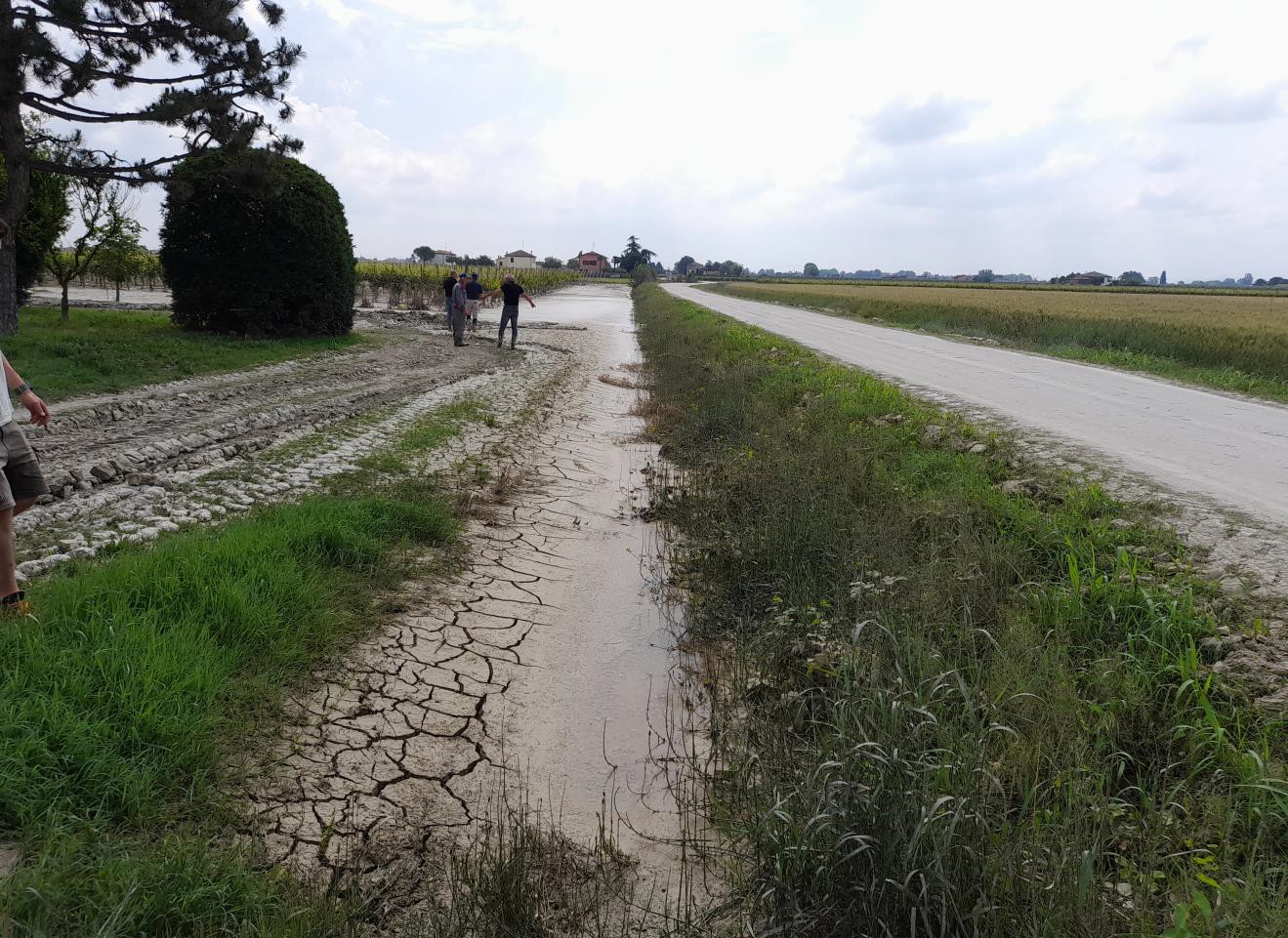 Progetto Applica, la salute del suolo per il futuro dei terreni agricoli